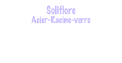 Soliflore
Acier-Racine-verre