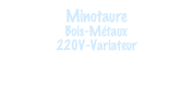 Minotaure
Bois-Métaux
220V-Variateur